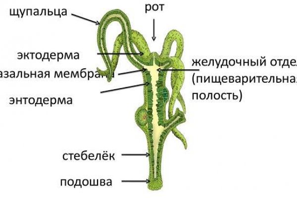 Регистрация кракен