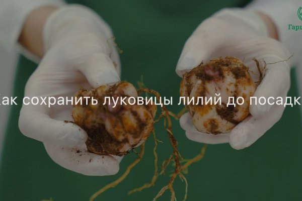 При входе на кракен пишет вы забанены