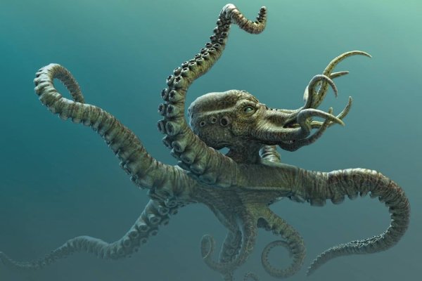 Kraken 12at зеркало